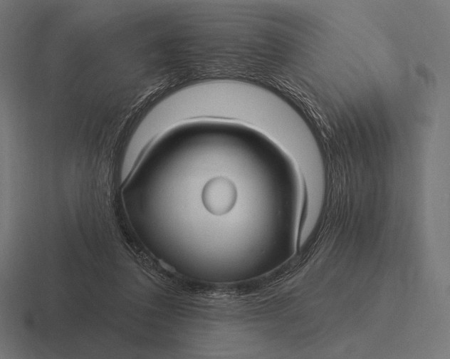 X0000116590308200912291313