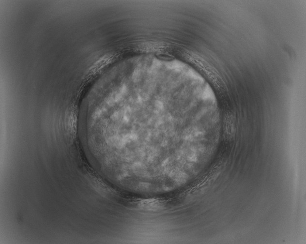 X0000116590309200912291313