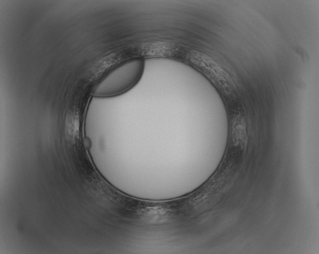 X0000116590310200912291313