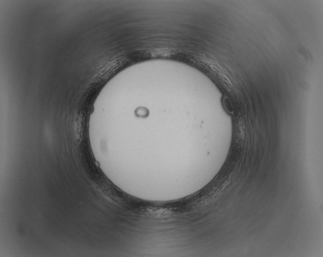 X0000116590311200912291313