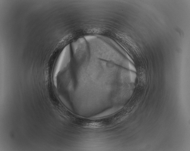 X0000116590312200912291313