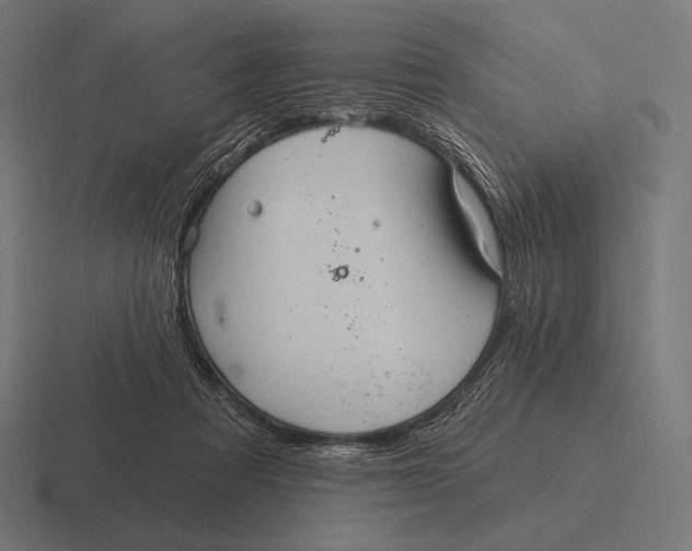 X0000116590313200912291313