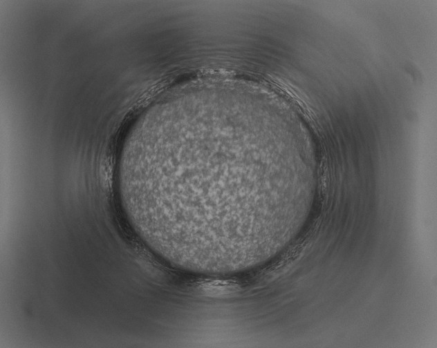 X0000116590315200912291313