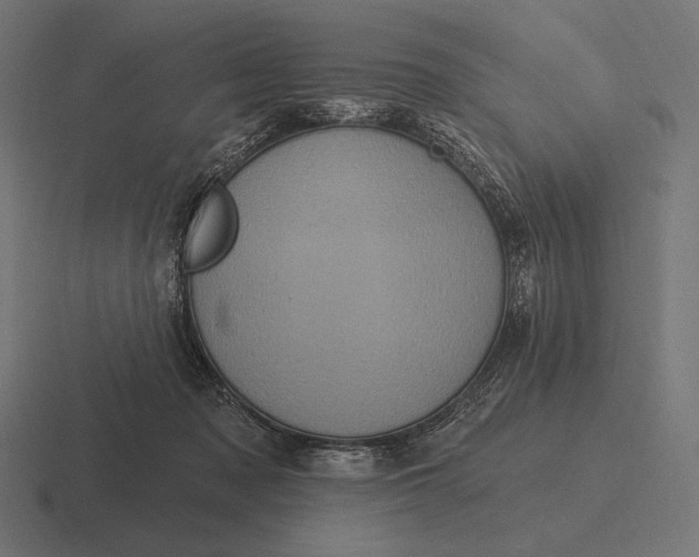 X0000116590317200912291313