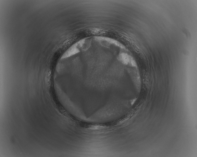 X0000116590319200912291313