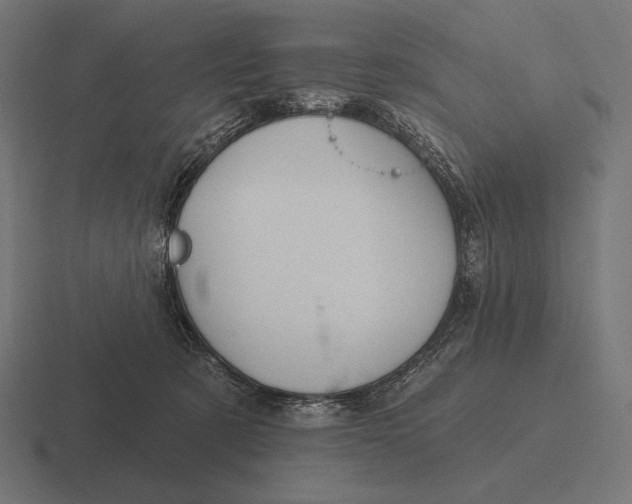 X0000116590321200912291313