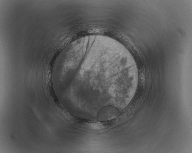 X0000116590322200912291313