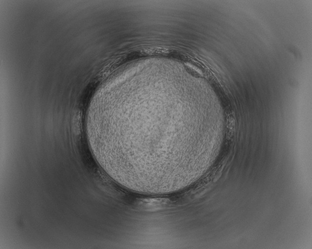 X0000116590323200912291313