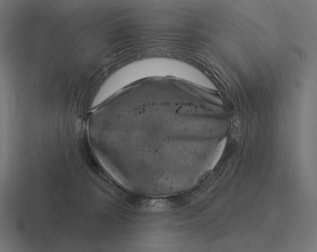 X0000116590324200912291313