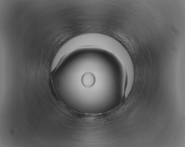 X0000116590325200912291313