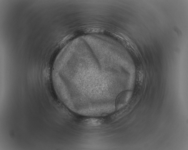 X0000116590326200912291313