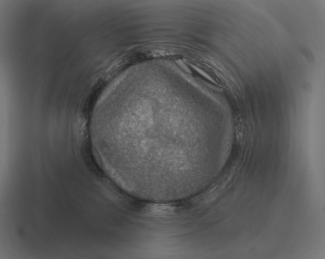 X0000116590327200912291313