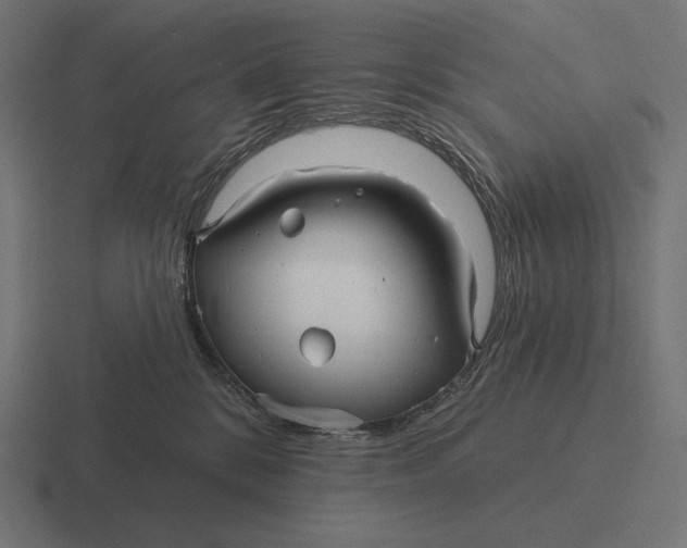 X0000116590328200912291313