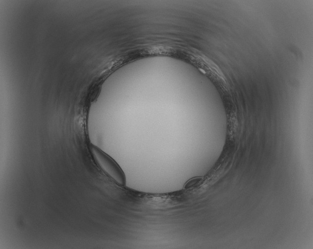 X0000116590329200912291313