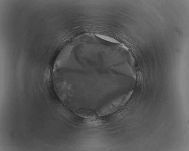 X0000116590331200912291313