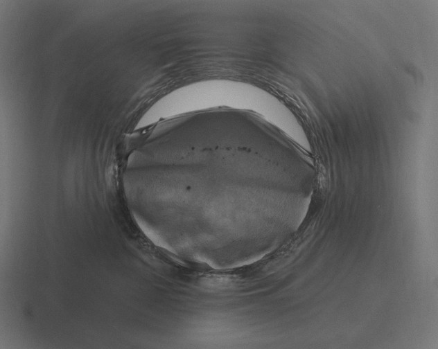 X0000116590332200912291313