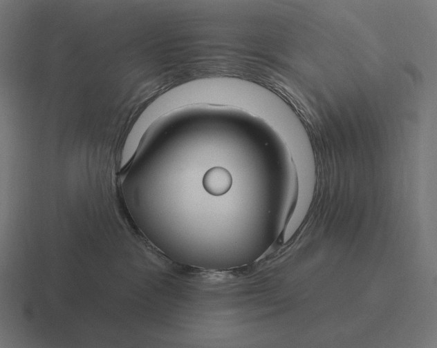 X0000116590333200912291313