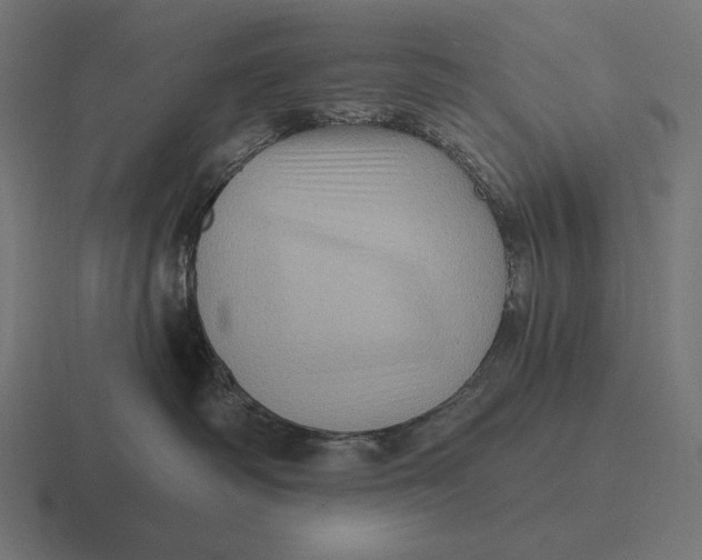 X0000116590334200912291313