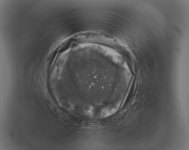 X0000116590337200912291312