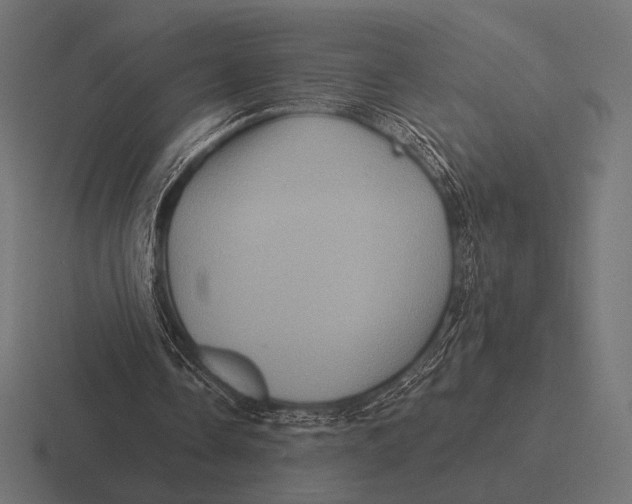 X0000116590338200912291312