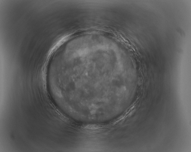 X0000116590341200912291312