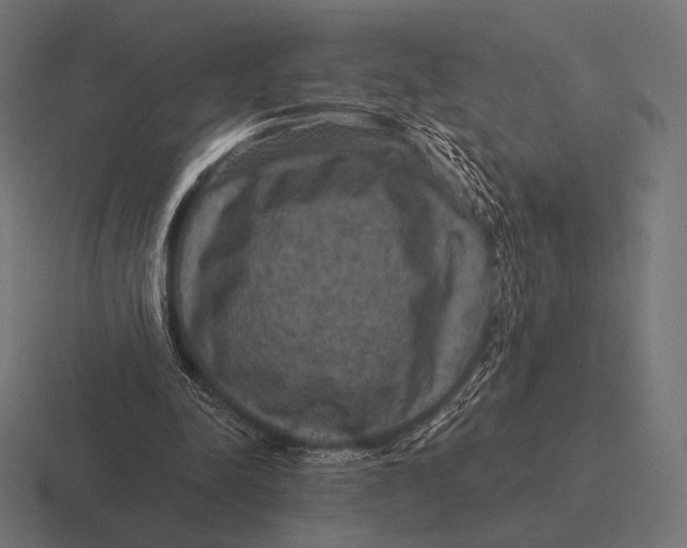 X0000116590342200912291312