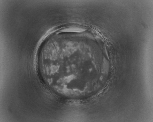 X0000116590343200912291312