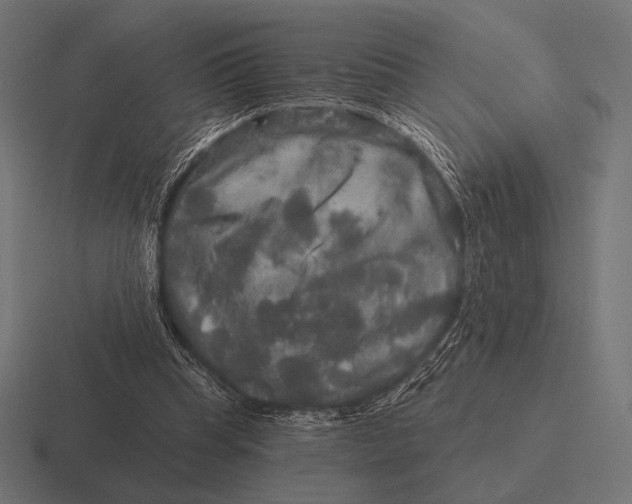 X0000116590345200912291312