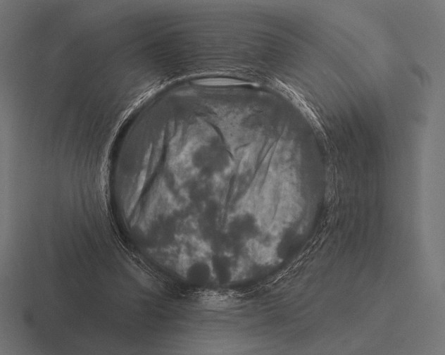 X0000116590346200912291312