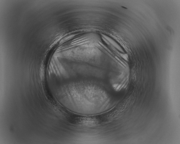 X0000116590347200912291312