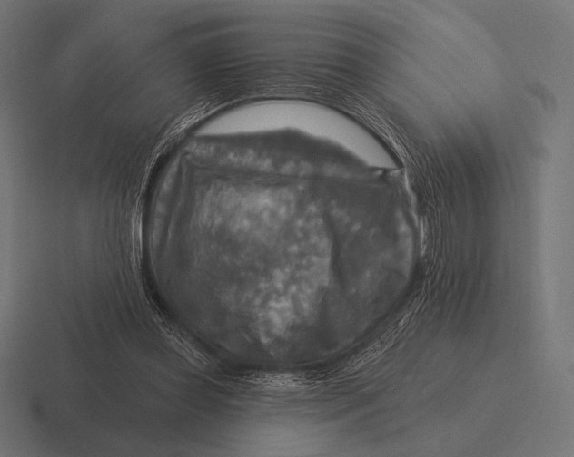 X0000116590349200912291312