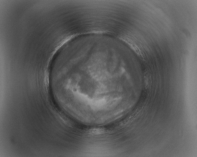 X0000116590350200912291312