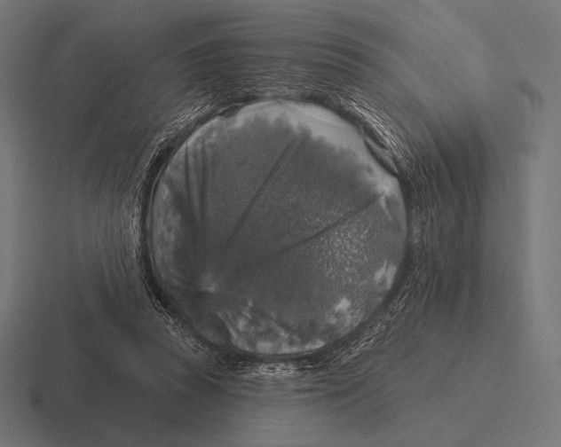 X0000116590353200912291312