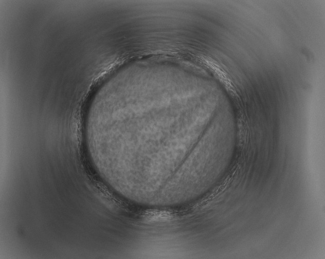 X0000116590354200912291312