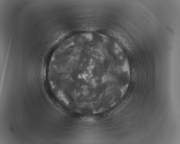 X0000116590358200912291313