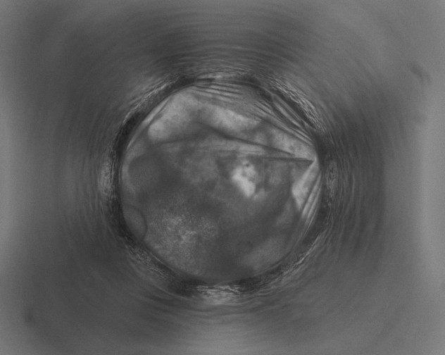 X0000116590359200912291313