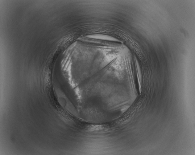 X0000116590361200912291313