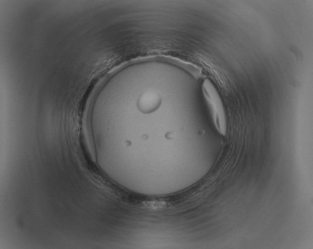 X0000116590362200912291313