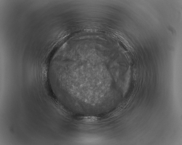 X0000116590363200912291313