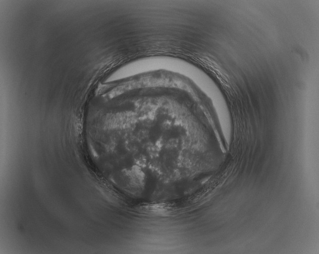 X0000116590365200912291313