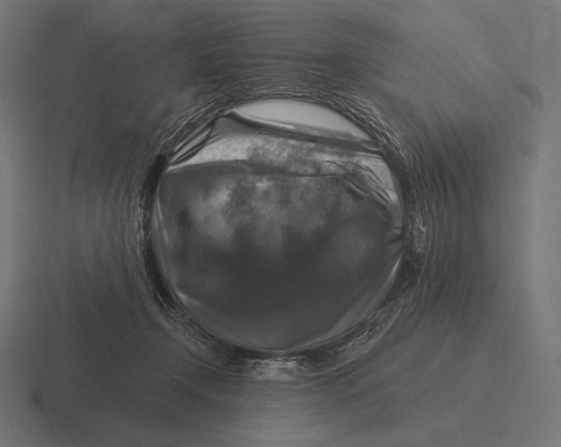 X0000116590366200912291313