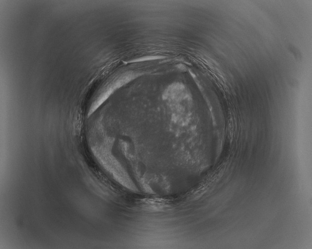 X0000116590367200912291313