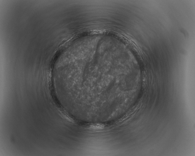 X0000116590369200912291313