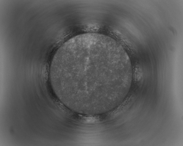 X0000116590370200912291313