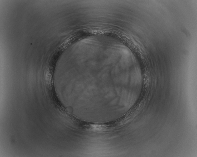 X0000116590371200912291313