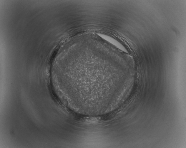 X0000116590373200912291313