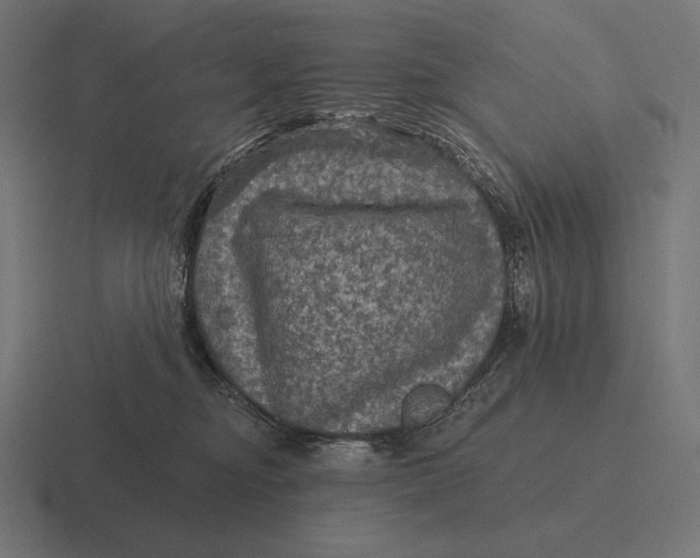 X0000116590374200912291313