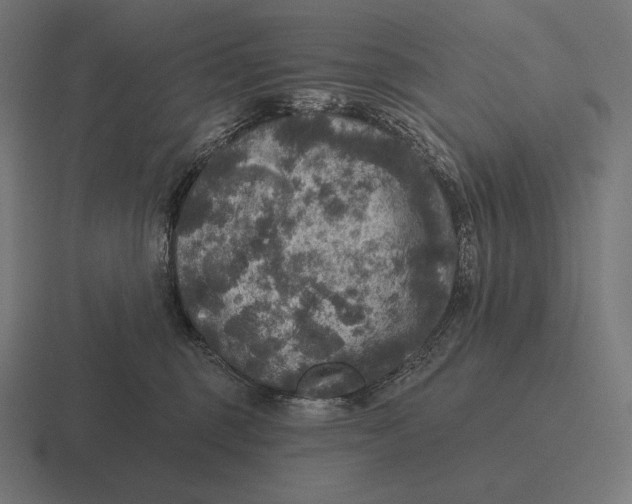 X0000116590375200912291313