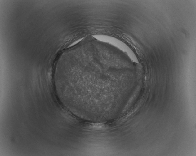 X0000116590377200912291313