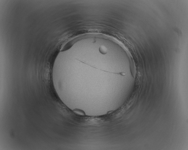 X0000116590379200912291313